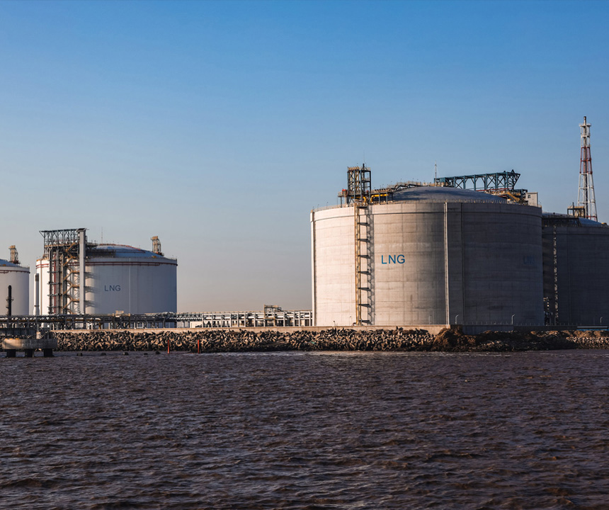 Chemical and Petrochemical Raw Materials