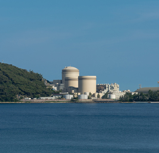 大型企業在大宗貿易並購潮中的戰略布局